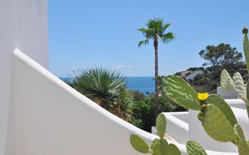 Property slide 12