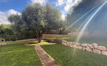 Property slide 27