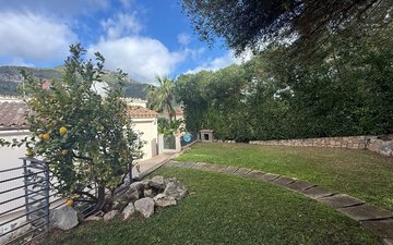 Property slide 29