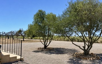 Property slide 30