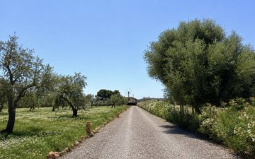 Property slide 34