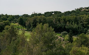 Property slide 22