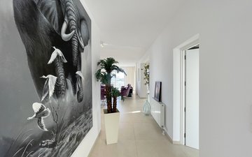 Property slide 15