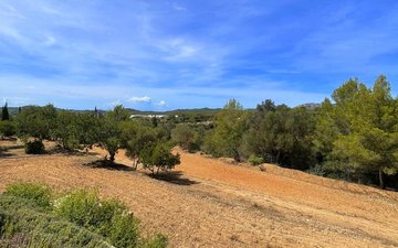 Property slide 36