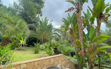 Property slide 30