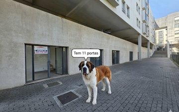 Property slide 22