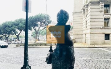 Property slide 24
