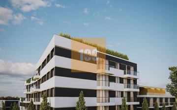 Property slide 6