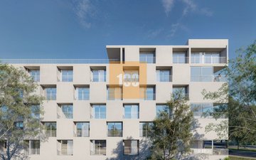 Property slide 12