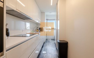 Property slide 13