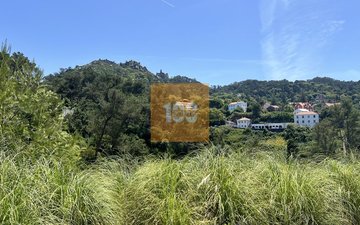 Property slide 16
