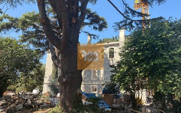 Property slide 20
