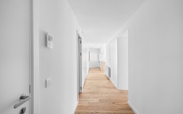 Property slide 12
