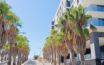 Property slide 41