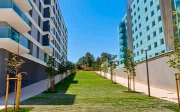 Property slide 85