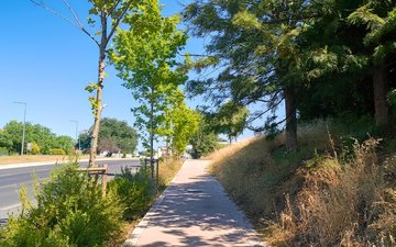 Property slide 87