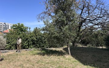 Property slide 89