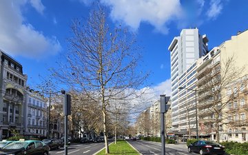 Property slide 20