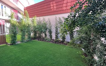Property slide 3