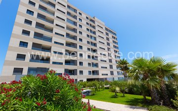 Eigenschaftsfolie 30