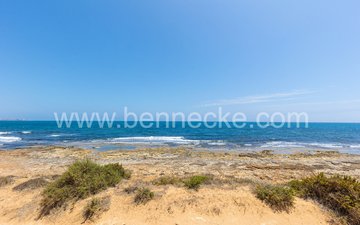 Eigenschaftsfolie 31