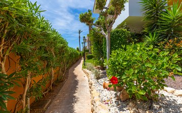 Diapositiva 30 de la propiedad