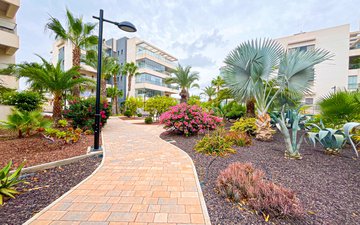 Diapositiva 33 de la propiedad