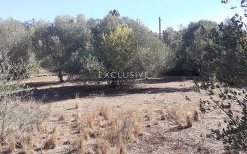 Property slide 14