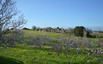 Property slide 12
