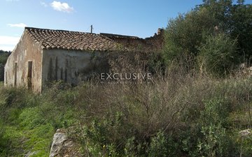 Property slide 7