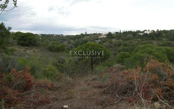 Property slide 11