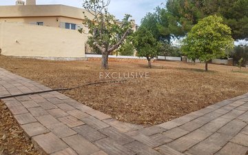 Property slide 19