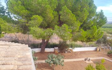 Property slide 17