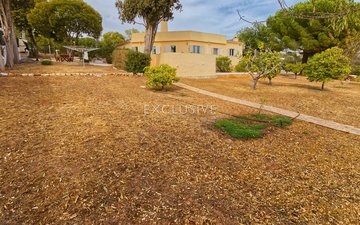 Property slide 13