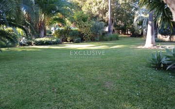 Property slide 31