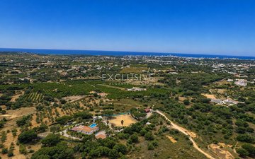 Property slide 31