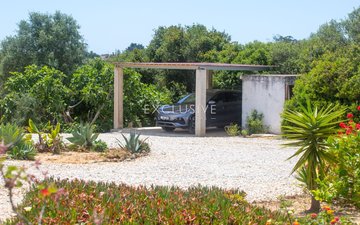 Property slide 16