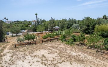 Property slide 31
