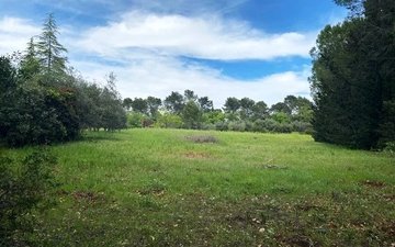 Property slide 14