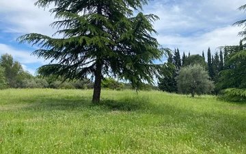 Property slide 16