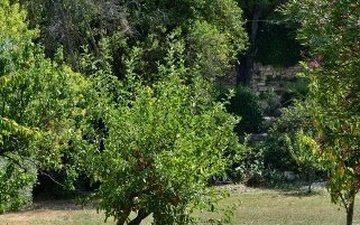 Property slide 17