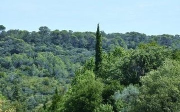 Property slide 19