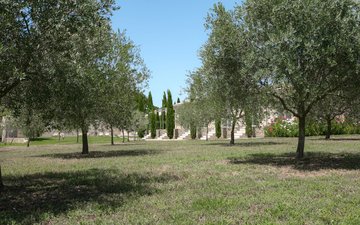 Property slide 15