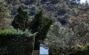 Property slide 9