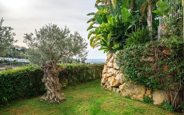 Property slide 17