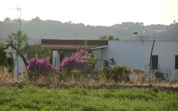 Property slide 13