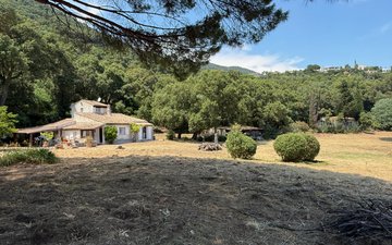 Property slide 11