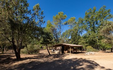 Property slide 10