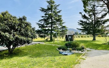Property slide 19