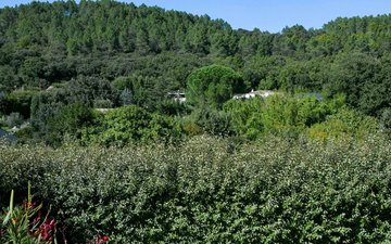 Property slide 15